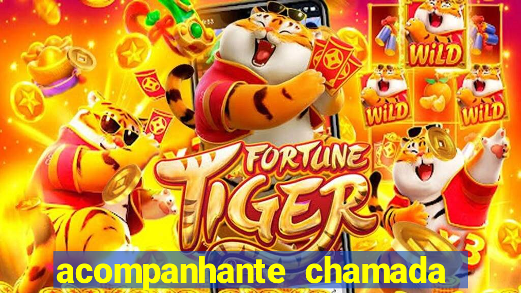 acompanhante chamada de video