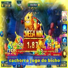 cachorro jogo do bicho