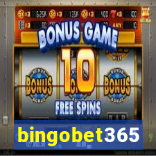 bingobet365