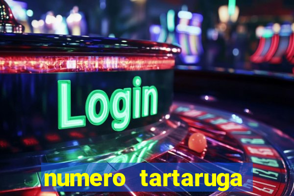 numero tartaruga jogo do bicho