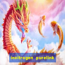 invitrogen purelink genomic dna mini kit