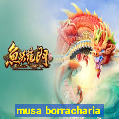 musa borracharia