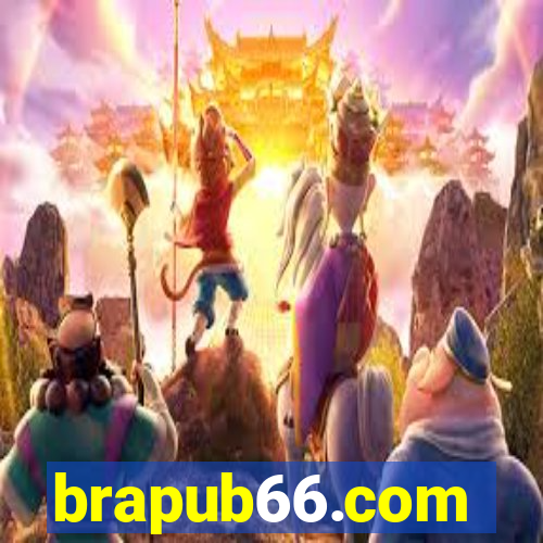 brapub66.com